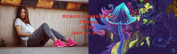 гашик Наволоки