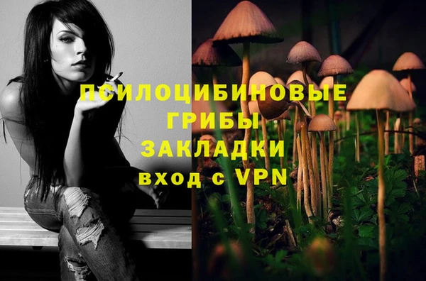 сатива Нефтегорск