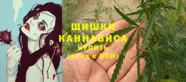 сатива Нефтегорск