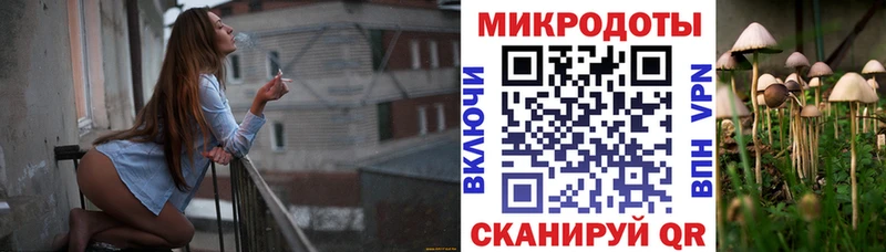 Псилоцибиновые грибы Cubensis  hydra зеркало  Олонец  закладки 