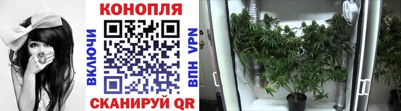 где купить наркотик  hydra зеркало  Конопля Bruce Banner  Олонец 